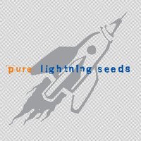 The Lightning Seeds - You Showed Me